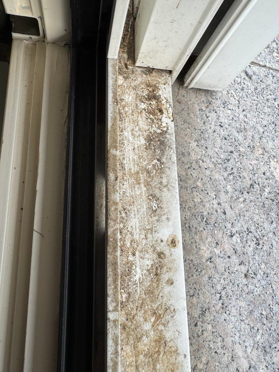 Fenster rahmen vor Morozovs Reinigung