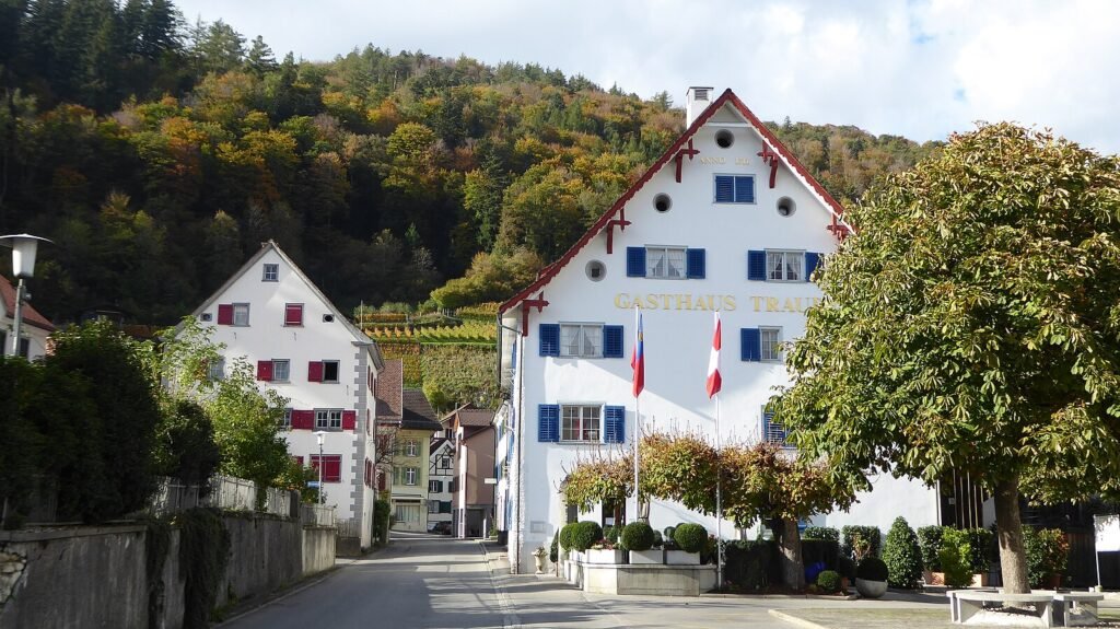 Azmoos CC BY-SA 2.0 (Attribution-ShareAlike 2.0) Plutowiki