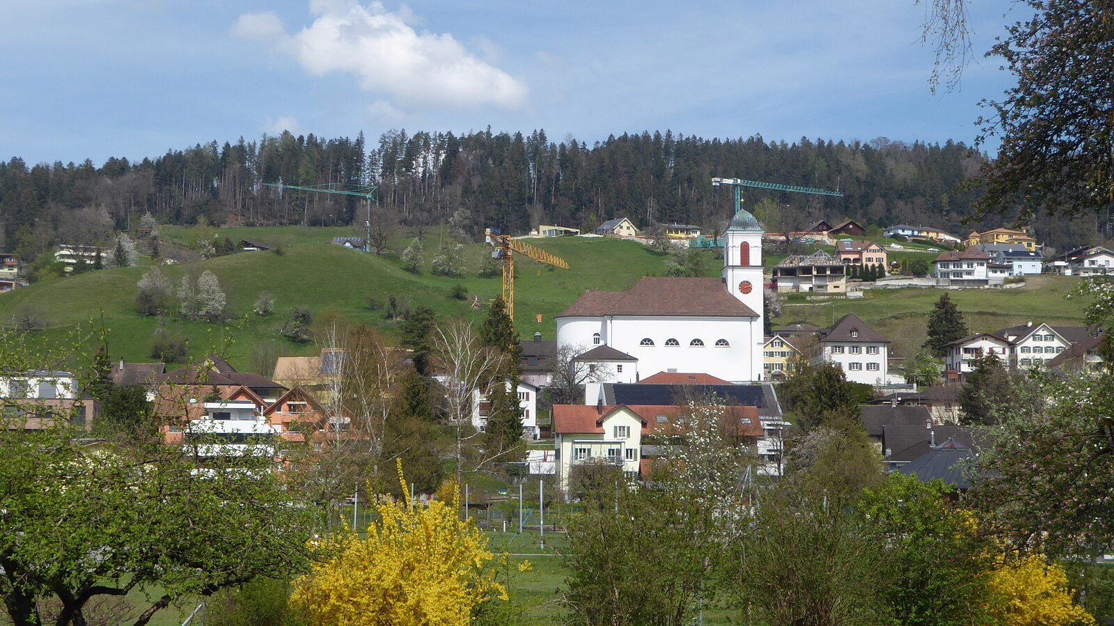 Mauren CC0 1.0 (Public Domain Dedication) Plutowiki