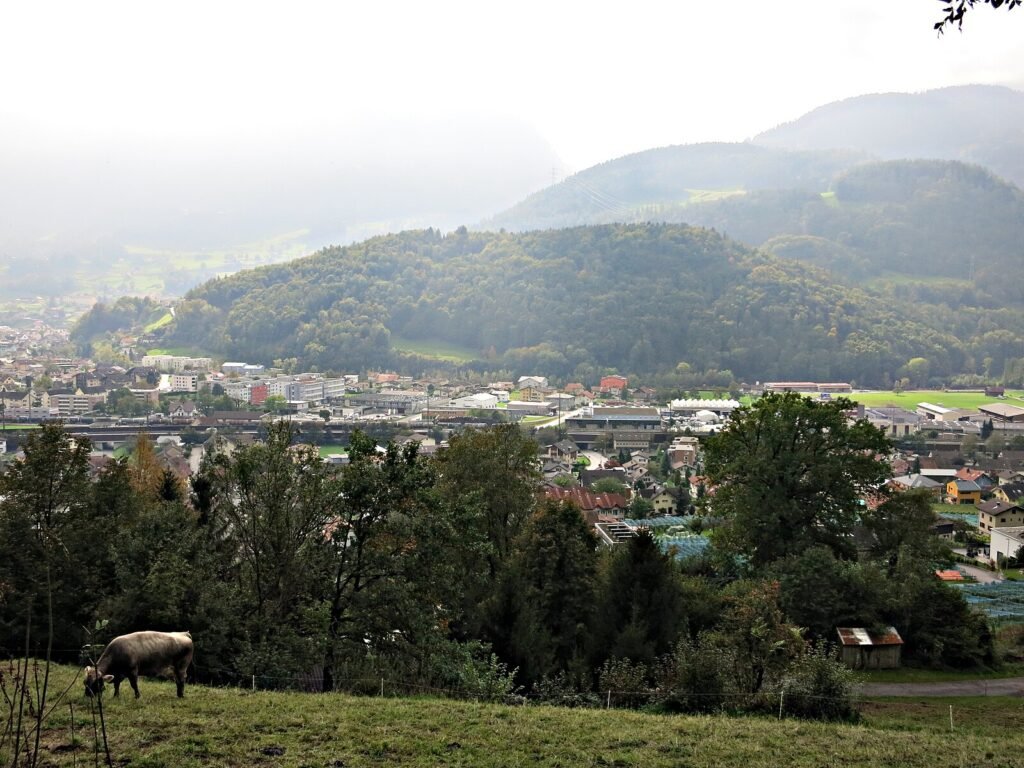 Mels CC BY-SA 2.0 (Attribution-ShareAlike 2.0) Paebi