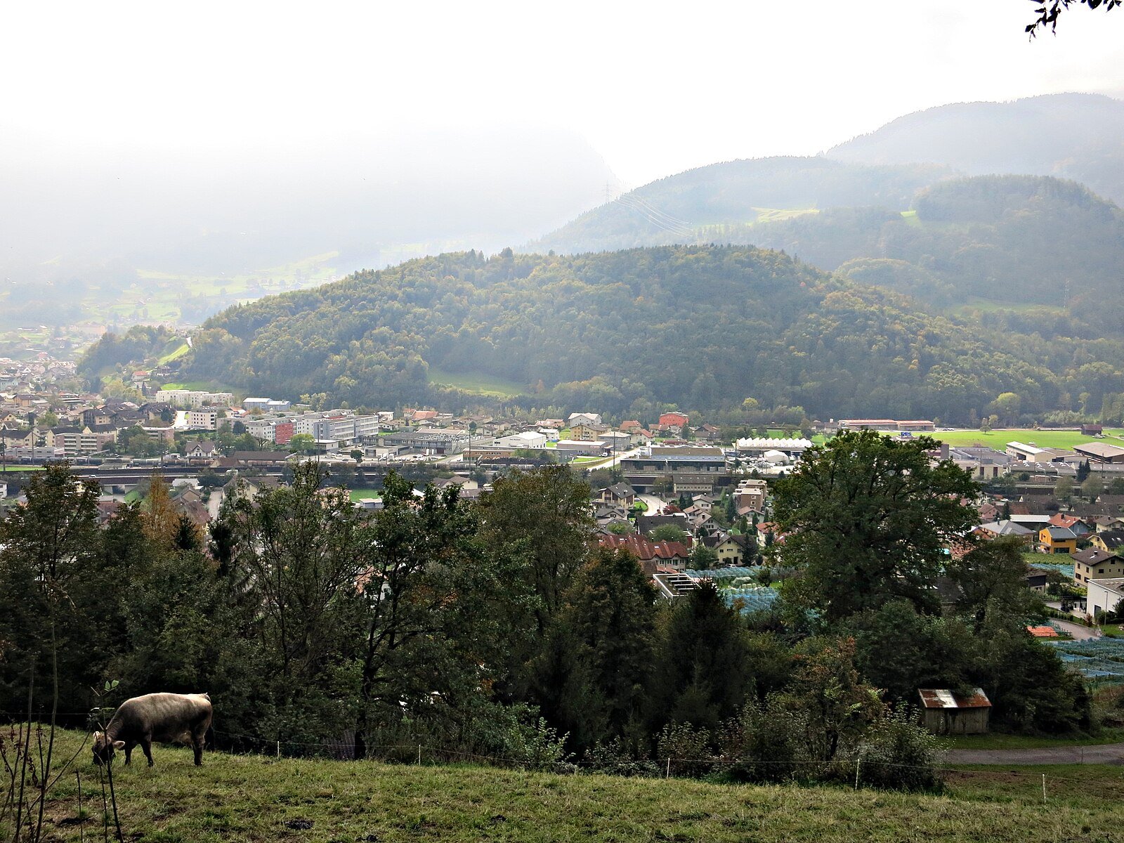 Mels CC BY-SA 2.0 (Attribution-ShareAlike 2.0) Paebi