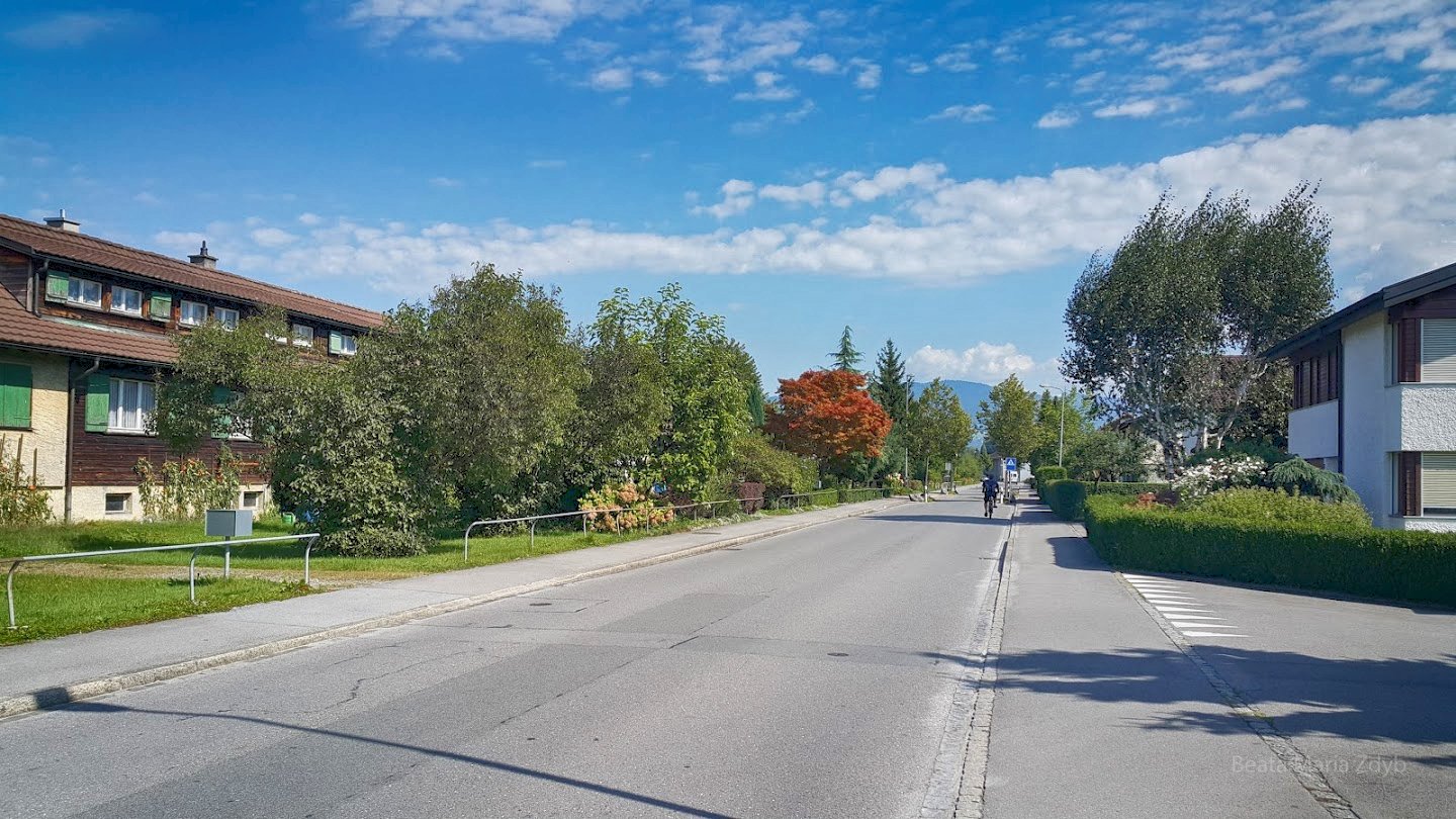 Widnau CC BY-SA 2.0 (Attribution-ShareAlike 2.0) Beata Maria Zdyb