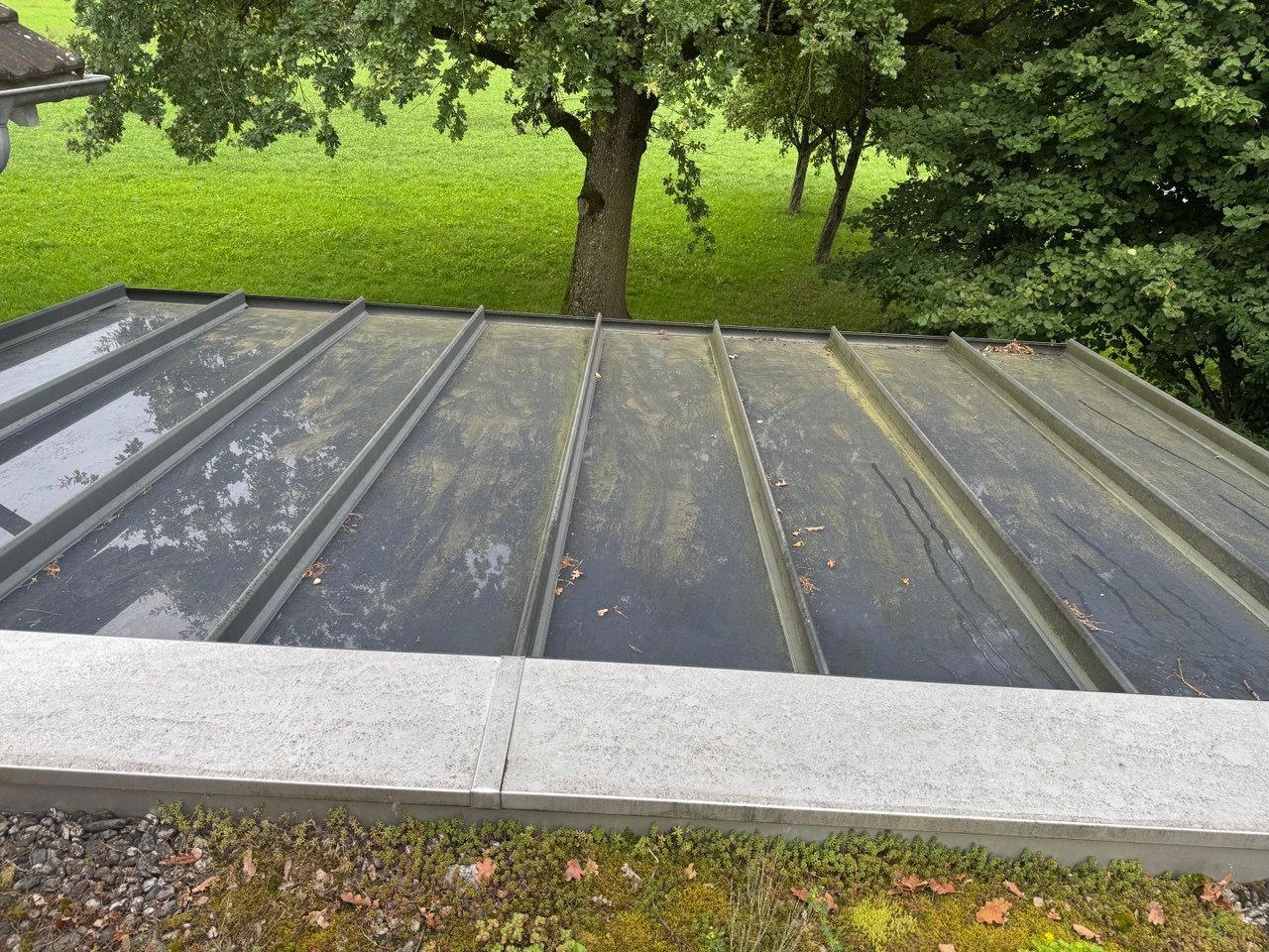 Glasdach-reinigung-vor Morozovs Reinigung