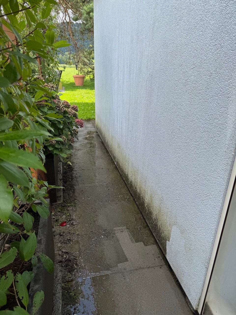 Reinigung der Fassade vor